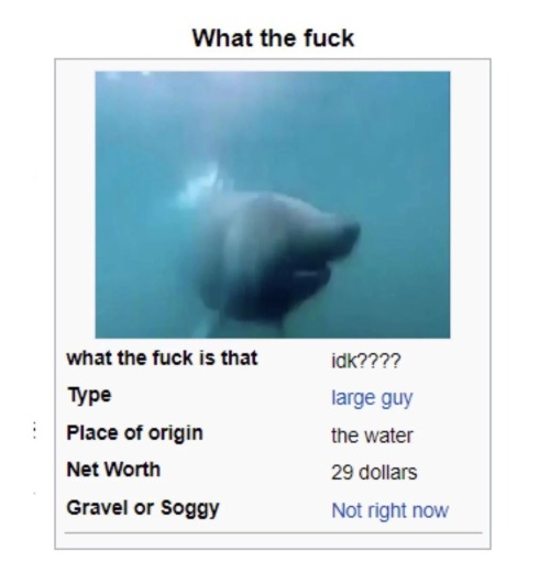 It's Fishposting Tuesday Everyone !!