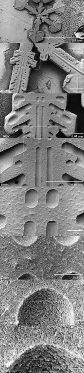 sixpenceee:Zooming into a snowflake with an electron microscope                            Source 