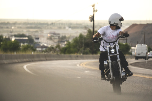 nativestandard:  Sportster Tee // Native StandardShot by Dan Sammons
