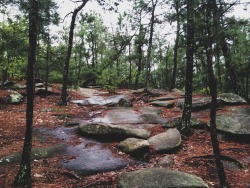 secretofthetrees:  Stone Mountain Georgia