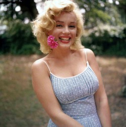 lesmodel:  Marilyn Monroe photographed by