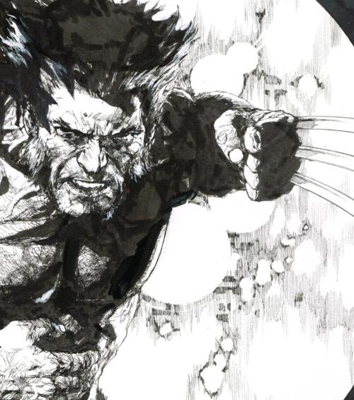 apoca1ypse-kitten:  Wolverine by Leinil Francis Yu   Absolutely amazing Wolverine Art