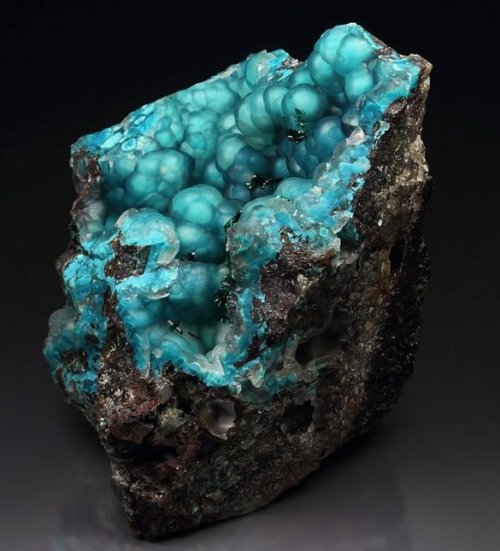 Chalcedony on Chrysocolla with Brochantite - Los Azules mine, Quebrada San Miguel, Copiapo Province,