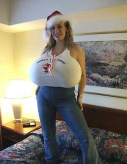 phearphactoruniverse:  Christmas Tits…tis’