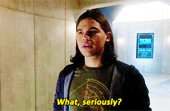 THE FLASH LAND