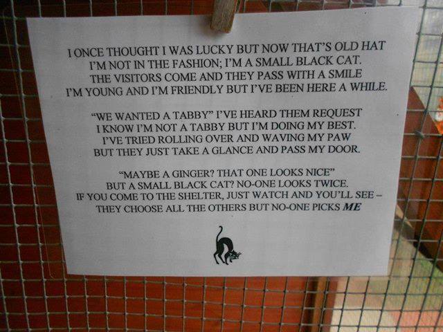 Please adopt black cats and kittens. They are THE BEST!
Via Smoky