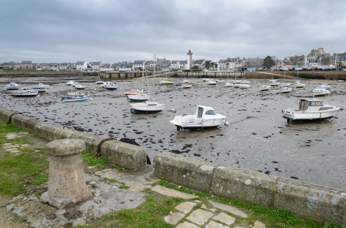                       Marée basse dans le port de Roscoff