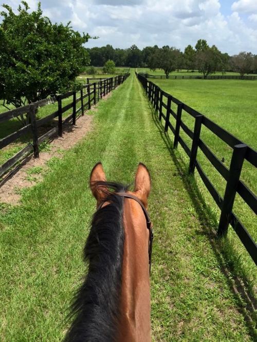 crawfordeventing-blog:I feel as if photos like theses are the equestrian equivalent to those pics of