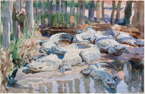 watercolor painting of a congregation of alligators in a swampy landscape