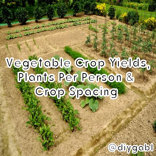 diygabl: Vegetable Crop Yields, Plants per Person, and Crop Spacing Vegetable crop yields and the nu