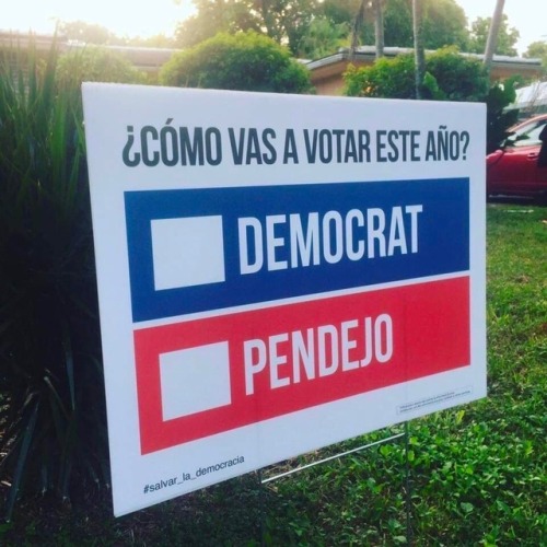 ¡Así es!  ¡Es importante votar!