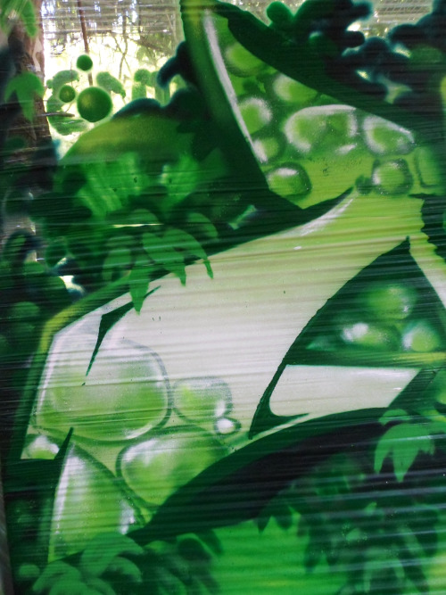 spoare153:  New painted on stretch, Frankfurt (Oder), 2013 