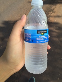 pokemonrangercorps:  Went looking for a cubone, random lady gave me a bag and a fresh water… Are we sure our world hasn’t transcended into the Pokemon universe? 