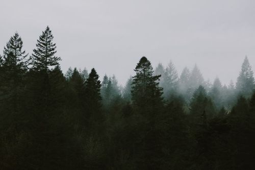 simply-divine-creation: Phil Chester