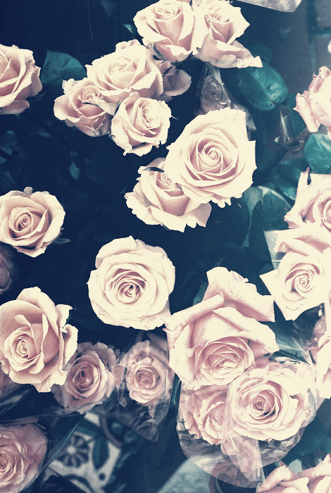  via dolliecrave 
