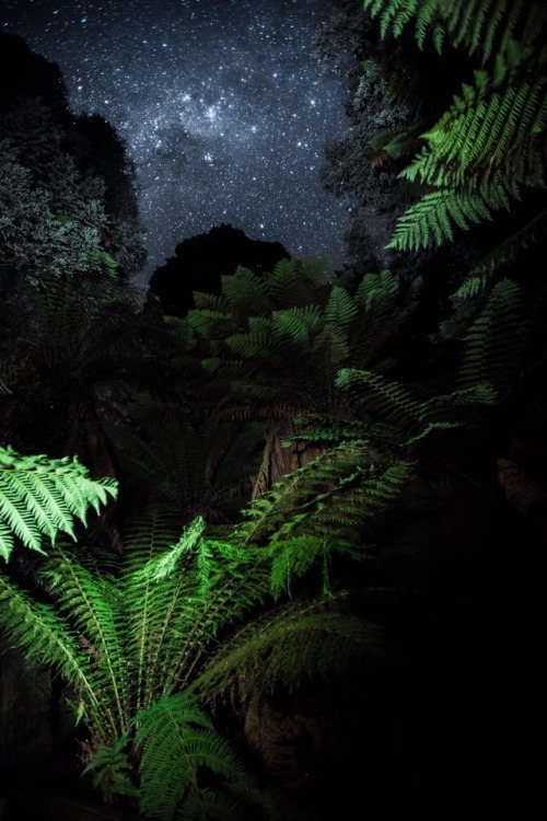 norafleischer: I’ve been in Australia the last month. This was taken in Tasmania on our second night