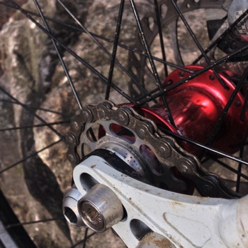 One Gear To Rule Them All. #singlespeed #cog #mtb #mountainbike #nogears #nosuspension #chrisking #konabikes