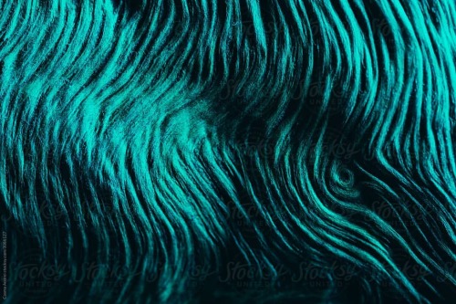 Alien texture #background #texture #alien #photography #abstract #photocosma #coverart #art #coverar