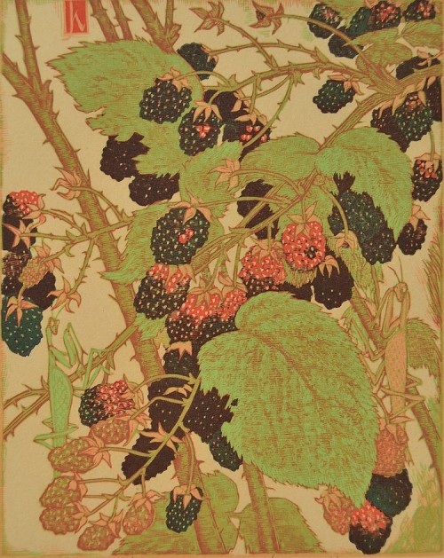 poboh:Blackberries, James Dexter Havens (1900 - 1960)- Color Woodblock -