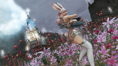 Say hello to Luna Valkyr my new bun bun~ ❤I finally I got my dancer to 80 and OMG do I love it so so