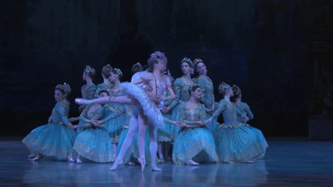 balletroyale:Myriam Ould-Braham and Mathias Heymann in The Sleeping Beauty (Paris Opera Ballet)