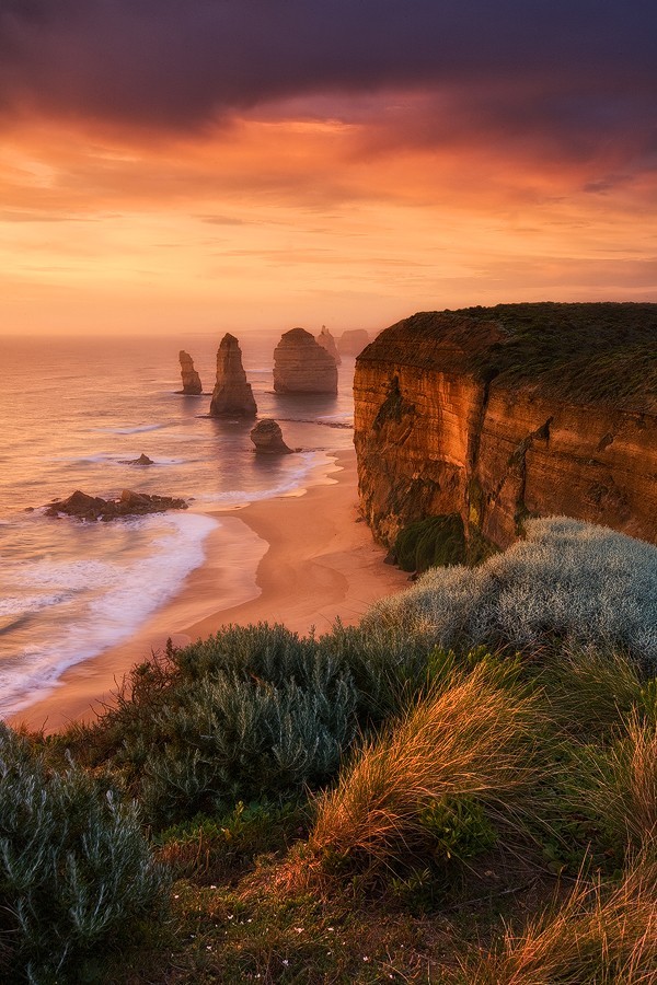 ponderation:  Only The Strongest Survive. by darrenjbennett  