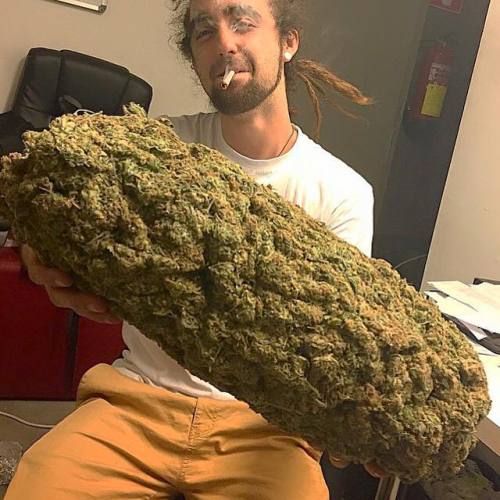 g00dvib3s-n-hightim3s:  When they finally legalize weed in your state … Hahaha 😩😂