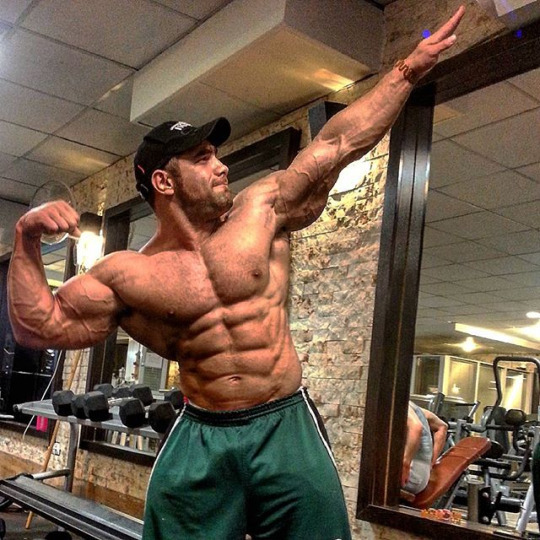 nicemusclemen:Ayat Bagheri