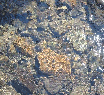 tumblr_nj8in5utHH1tu2m70o1_500.gifv