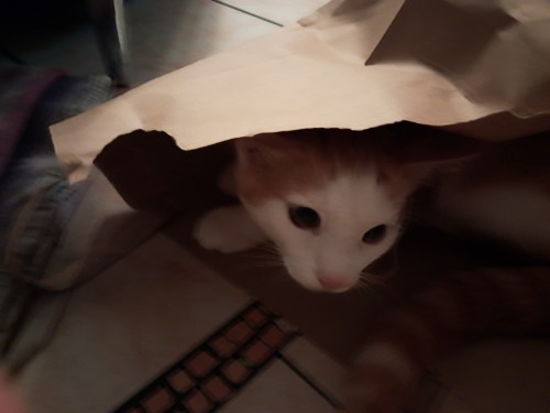 Hi Everyone!