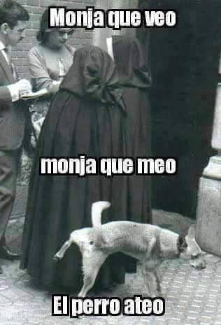 Chilefail, un lugar para reír