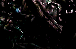 ladykili:The Hobbit: Desolation of Smaug:↳ Tauriel and Kili (with a lovely dose of badass Tariel and