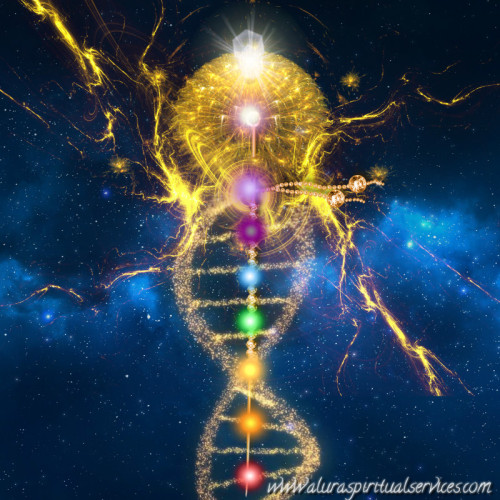 The Illuminated Mind