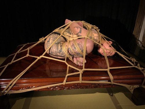 japanesebdsmofficial:  Kinbaku&Photo Naka Akira Model Poppy