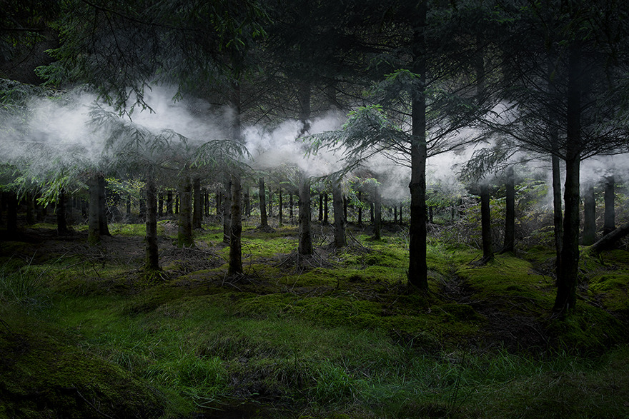 davidesky2:  by Ellie Davies, via Beautiful/Decay.