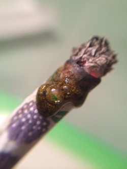 phuckindope:  Twax Joint. 