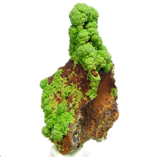 Conichalcite The beauty of copper minerals never seems to be exhausted, and the distinctive grassy y