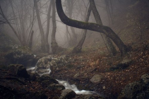 alteriusnocte: by Sergey Yablokov