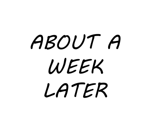 ask-canterlot-musicians:  Oh right, the thing….  xD Oh Vinyl~
