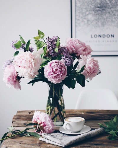 fleur-aesthetic:instagram | thelittleran 