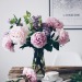 fleur-aesthetic:instagram | thelittleran 