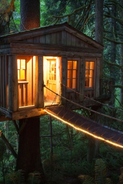 r2&ndash;d2:  Treehouse Point by (Alex Levine Photography) 