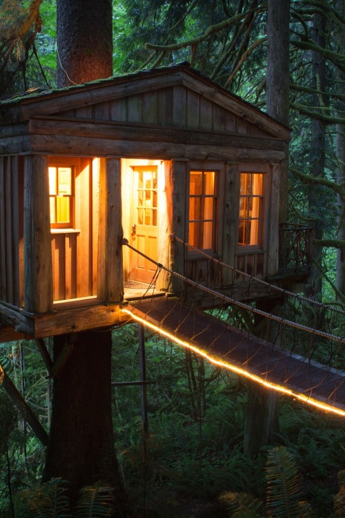r2–d2:  Treehouse Point by (Alex Levine Photography) 