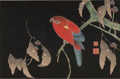 Ishizuri Jakucho