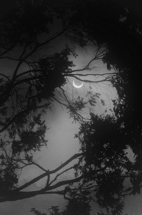 lalouveencage.tumblr.com/post/58821434639/