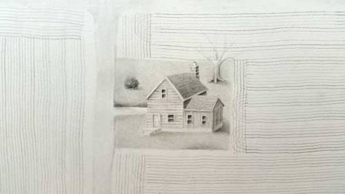 Gabrielle Nowicki 2016 - Details of a drawing in progress part 4.Graphite on paperDrawing the plante
