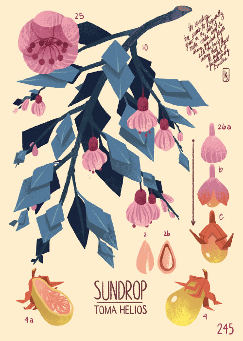 kevinjaystanton: thewanderersstash:Another page from Flora of the World, a common pocketguide to flo