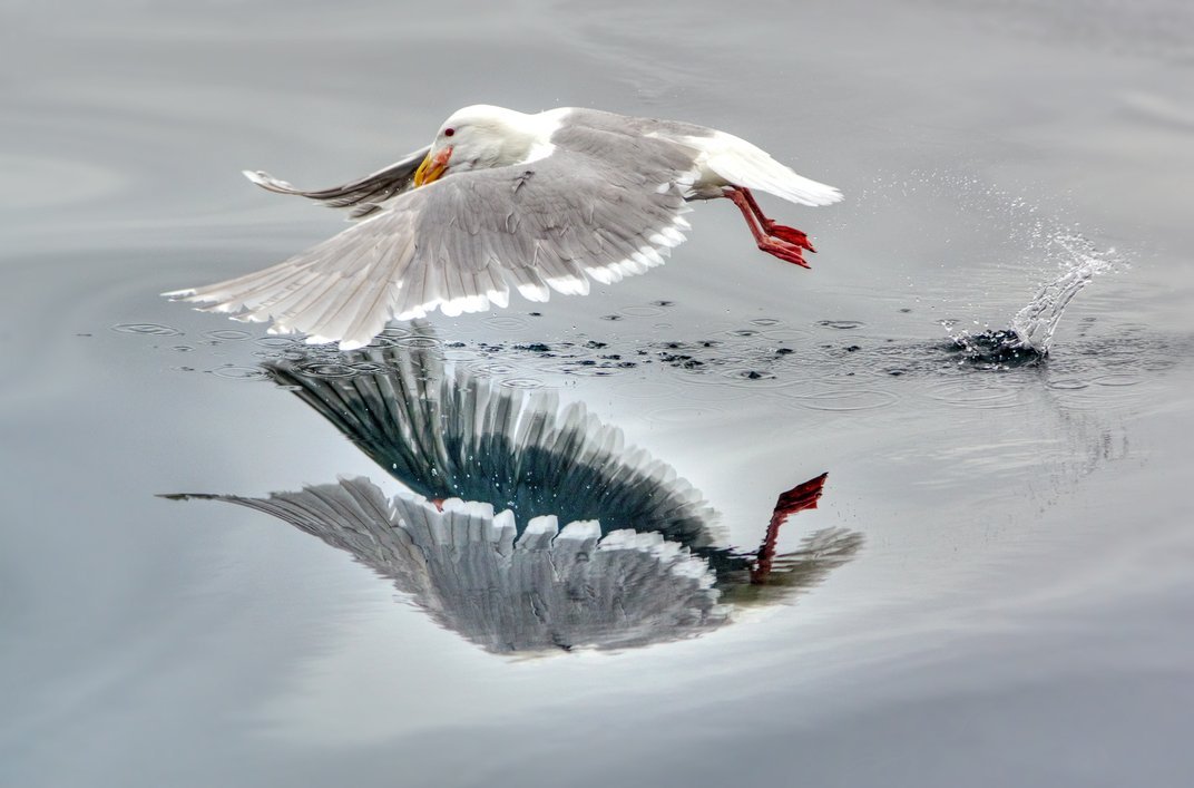 staceythinx:  The finalists have been announced for this year’s Smithsonian Photo