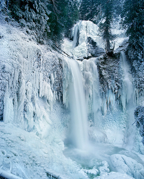 The getting there and being there of Falls Creek Falls by Zeb Andrews on Flickr.