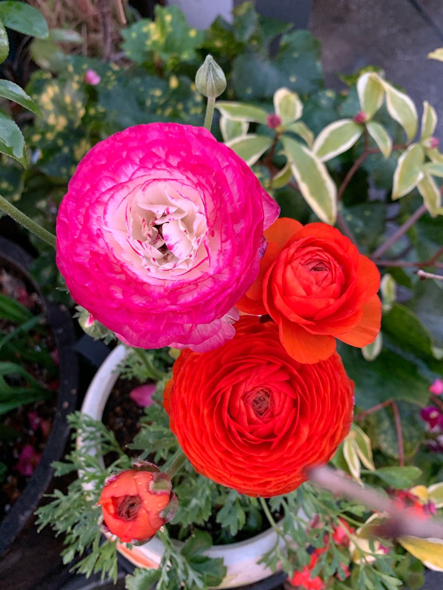 萩之茶屋 Explore Tumblr Posts And Blogs Tumgir 萩之茶屋 Explore Tumblr Posts And Blogs Tumgir